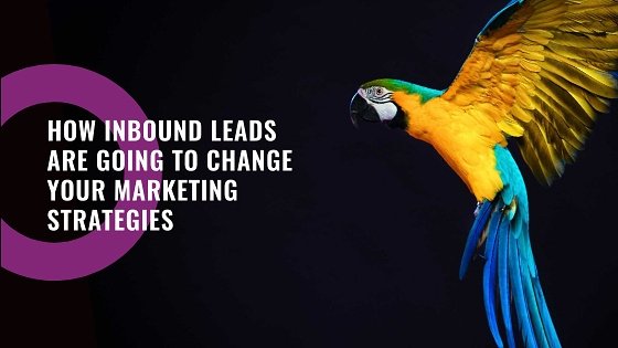 ThinkFlame Inbound leads and Marketing Strategies